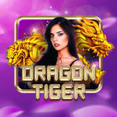 Dragon Tiger table game casino